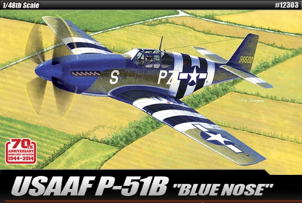 Самолет  USAAF P-51B 
